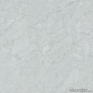 Glazed Porcelain Floor Tile 600x600mm CMAX-S6626 System 1