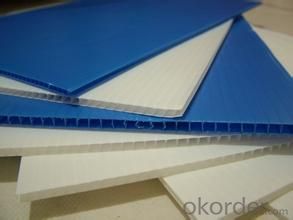 Extruded PP Package Sheet made of 100% virgin PP material