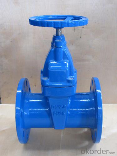 DIN Cast Iron Resilient Seated Flanged Gate Valve F4 System 1