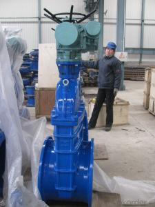 Resilient Seated Gate Valve (Z45X-16) on Sales System 1