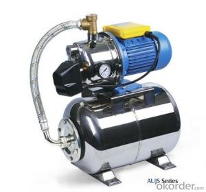Water Supply Pump with High Quality (AUJS100s) System 1