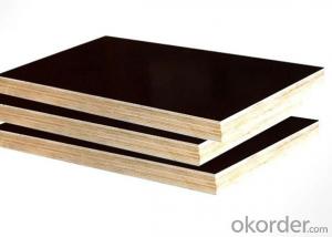 Marine Plywood  Film Faced plywood with good quality and better price