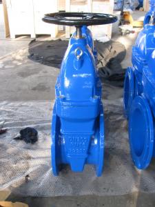 Gate Valve Ductile Iron Rising Stem Resilient Seated System 1