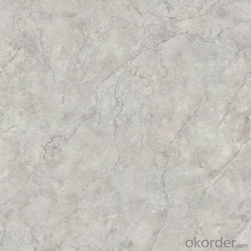 Glazed Porcelain Floor Tile 600x600mm CMAX-LY6032P System 1