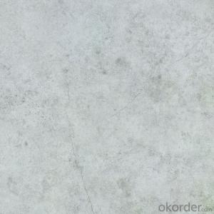Glazed Porcelain Floor Tile 600x600mm CMAX-TS6005