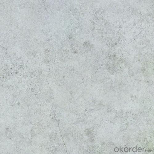 Glazed Porcelain Floor Tile 600x600mm CMAX-TS6005 System 1