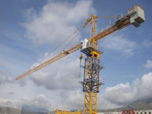 JL6016-8ton Topkit Tower crane for construction site System 1