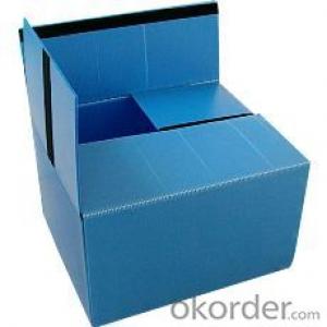 Polypropylene Hollow sheet  Delivery Box with different sizes and colors System 1