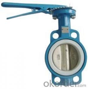 Butterfly Valve Manufacturer (double flanged/single flanged/U type/wafer type/lug type) System 1