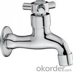 Single Lever Shower Faucet with Popular Market (BM5205)