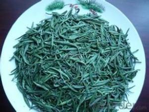 Organic Green Tea Tasty and healthy Spring harvest Chunmee Green tea