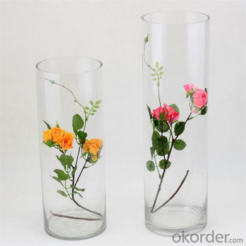 New design fashion clear glass vase home decoration glass vases System 1