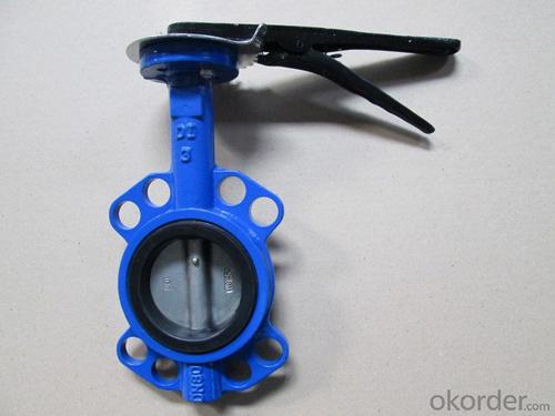 EN598 Double Flanged Eccentirc Butterfly Valve System 1