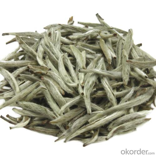 Best White Tea Brands Organic White Tea Silver Needle System 1