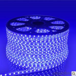 LED FLEXIBLE STRIP LIGHT - CCT ADJUSTABLE INNOVATION
