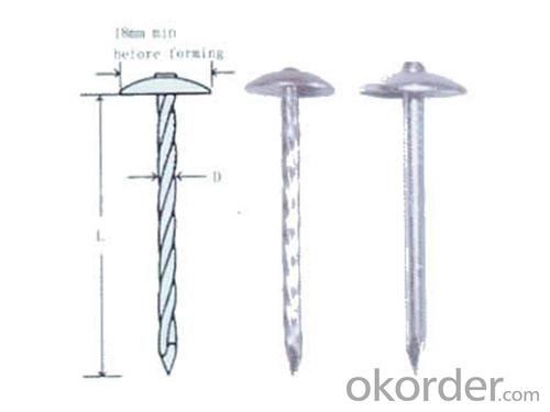 High Quality!! Best Seller! First Class! Roofing Nail System 1