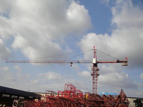 Tower Crane    The Product model -TC5008 System 1