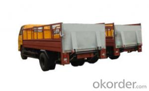 Special truck tail lift--DC-003 -  micro pygidium System 1