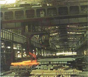 Lifting Equipment  Crane for Steel Plant  Rake Crane