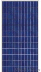 250W Poly  Solar Panles of CNBM Brand Competitive Price
