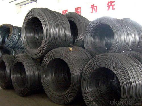 Wire Rod  High Qulity Hot Rolled Sae 1008b 5.5mmin Coils System 1