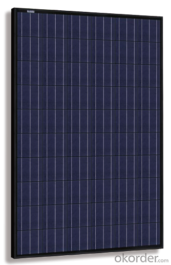 Polycrystalline  Solar  Module  SP660-240W