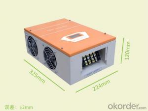 1KW-MPPT Charging Function-Solar Charge Controller