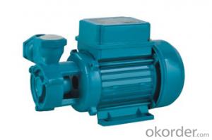 QB60 & PK60 Series Self-priming Water Pump System 1