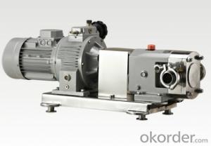 Sanitary Lobe Rotor Pump for High Adhesive Materials System 1