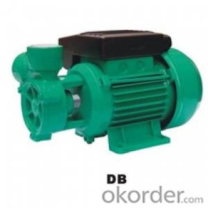 DB Series Vortex Pump for Water Supply With Rewindable Motor