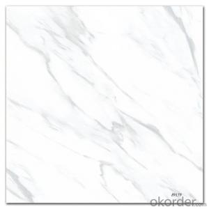 TOP QUALITY GALZED TILE FROM FOSHAN CMAX 66111 System 1