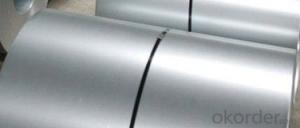 GALVANIZED STEEL COIL-SHEET WITH BEST SELLING