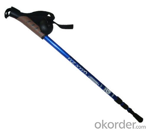 Carbon steel sticks alpenstock ; Sticks ; mountaineering sticks System 1