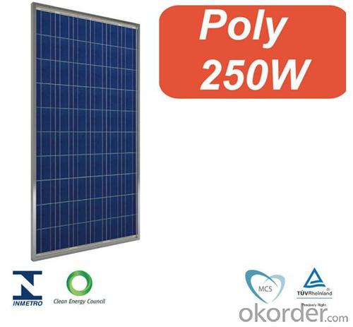 Photovoltaic PV Solar Panel / Solar Module 250W System 1