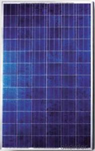 300w Polycrystalline Solar Panels stocks in West Coast