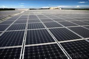 250w Polycrystalline Solar Panels stocks in West Coast
