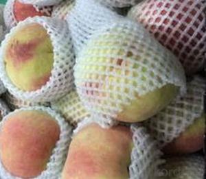 Sleeve Net Protection For Fruit/vegetable System 1