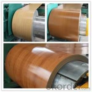 Prepainted Galvanized Rolled Steel Coil in China System 1