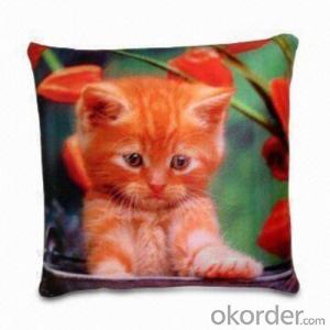 Square shape beads pillow with nice printing