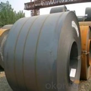 Hot Rolled Steel Sheet in Coil in Good Quality System 1