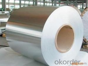 Cold Rolled Steel Coil/Sheet in Good Quality