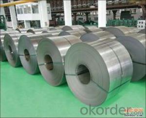 cold rolled steel coil / sheet / plate in CNBM