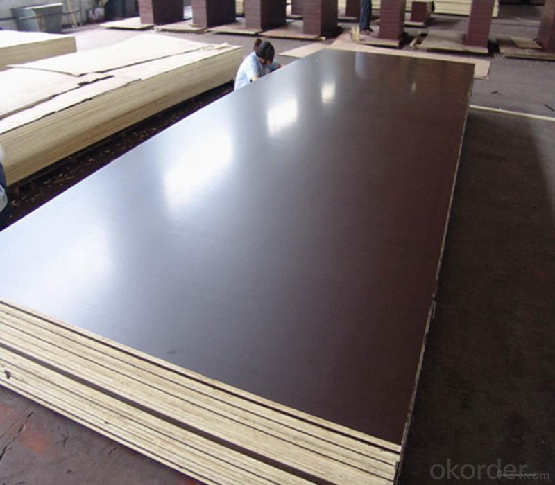 Shandong Film Faced Plywood Marine Plywood Construction Plywood