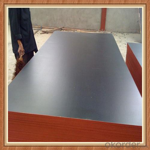 Shandong Walnut Film Faced Plywood Marine Plywood Construction Plywood 4x8 System 1