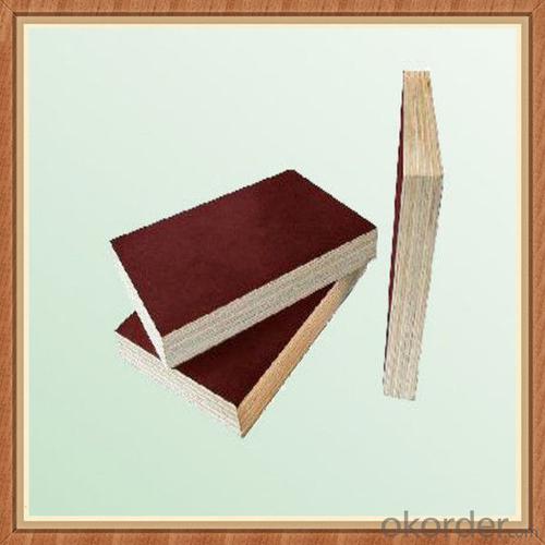 Price for Plywood At Lowes - Film Faced Plywood Manufacturer from China System 1