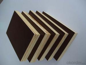 failm faced plywood/ marine plywood manufacturer
