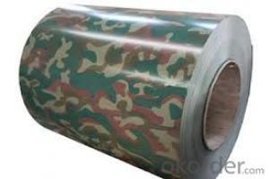 Steel Coil /color coated hot rolled steel coil/PPGI Coil