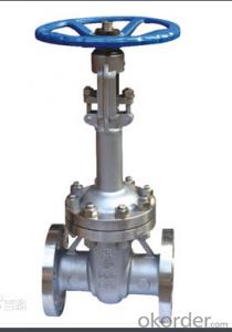 Cryogenic Gate Valve with reliable sealing System 1