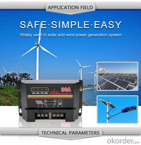 Solar LCD Controller with Best Price Hot Selling Model DM120A System 1