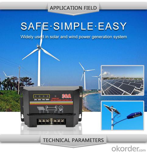 100 Watt Solar Panel Controllers - Solar LCD Controller DM130A with Best Price Hot Selling Model System 1